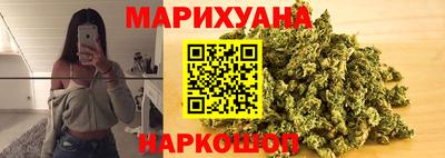 мяу мяу мука Моздок