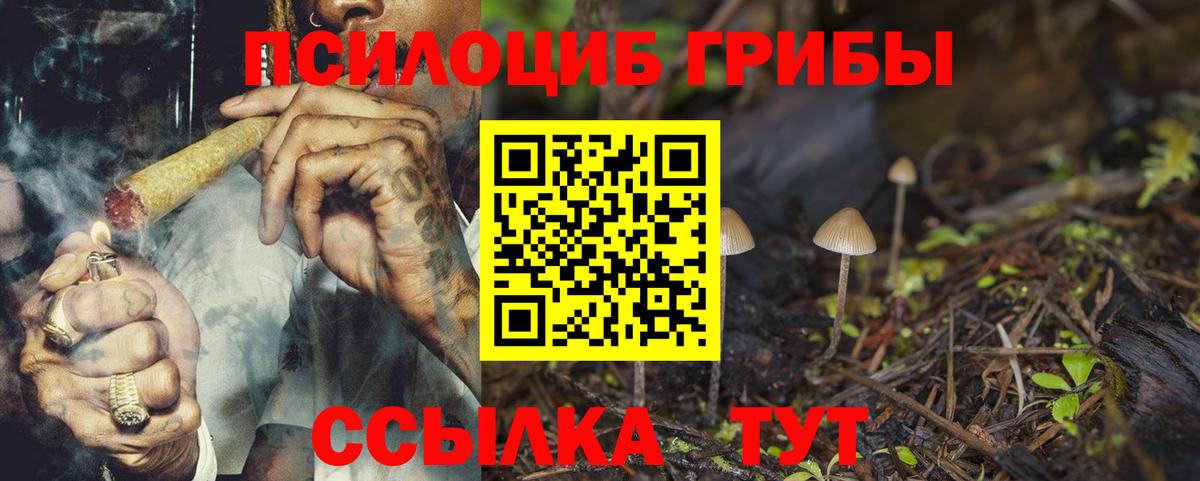 Галлюциногенные грибы Cubensis  Вход с VPN  Балтийск 